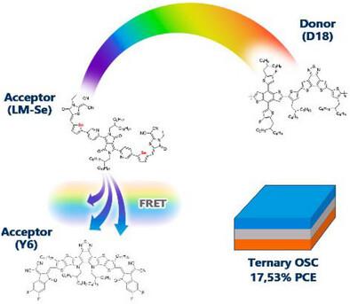 Tuning Exciton Dynamics and Energy Transfer in Ternary Organic Solar Cells Using Pyridine‐Flanked DPP Acceptors