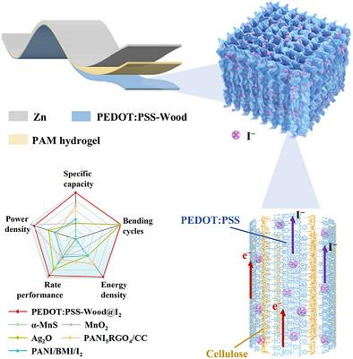 Highly Flexible and Structurally Stable Oriented Conductive Framework for Deformation-Tolerant Zn-Ion Batteries