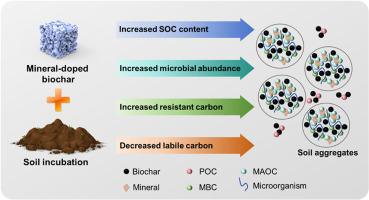 Carbon sequestration in soil affected by mineral-doped biochar: Roles of soil aggregate and microbial community