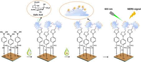 Accurate and sensitive determination of sialic acid using three-dimensional Raman imaging based on a background-free SERS strategy