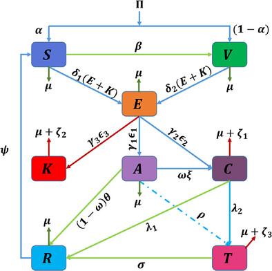 Modeling of Hepatitis B Virus Transmission With Vaccination, Treatment, and Memory Effects