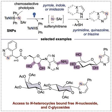Photolysis-generated sulfenylnitrenes enable site-selective nitrogen-atom insertion into N-heterocycles