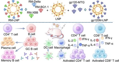 A Synthetic Liposome Nanoparticle Vaccine Platform for Broad-Spectrum Vaccine Design.