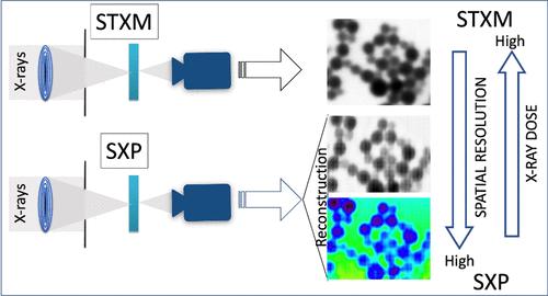 Estimating Spatial Resolution and X-ray Radiation Dose in a Comparative Study of Composite Organic Nanoparticles Using Soft X-ray Scanning Transmission X-ray Microscopy and Soft X-ray Ptychography
