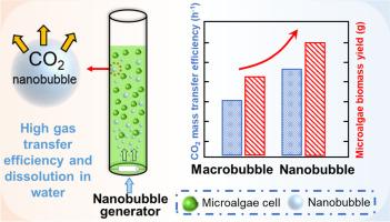 Comparative Study of CO₂ Nanobubbles and Macrobubbles: Effects on Water Chemistry, Microalgal Growth, and Carbon Utilization