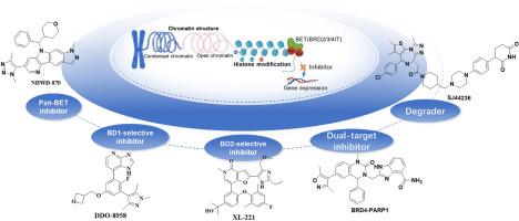 Recent Advances and Strategies in BET Bromodomain Inhibition for Drug Discovery