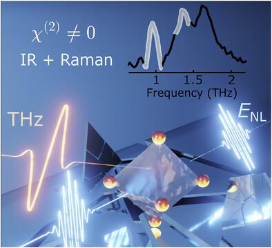THz-Driven Coherent Phonon Fingerprints of Hidden Symmetry Breaking in 2D Layered Hybrid Perovskites