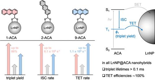 Molecular Orientation Controls Triplet Exciton Dynamics in Organic Molecules Coupled to Lanthanide-Doped Nanoparticles