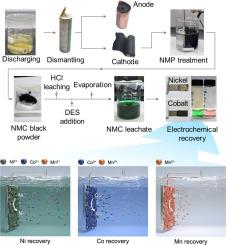 Highly Selective and Near-Complete Electrochemical Recovery of Cobalt and Nickel from Spent Batteries through Mutifunctional Deep Eutectic Solvent