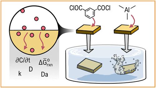 Elucidating the Kinetics and Thermodynamics of Organic Vapor Phase Infiltration and Molecular Layer Deposition for Dissolution Resilient Polymers