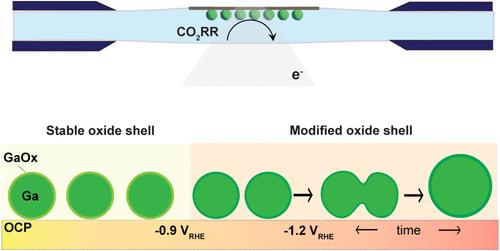 Real-Time Monitoring Reveals Stability of Gallium Nanoparticles beyond the Thermodynamic Reduction Potential of Their Oxide Skin under CO2 Reduction Conditions