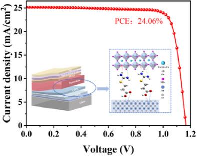 Achieving Defect Passivation and Oriented Crystallization Regulation at the SnO2/Perovskite Interface via Molecular Bridging