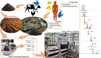 Matrix solid-phase dispersion, combined with online SPE-LC-MS/MS, for the determination of tetracyclines and their main transformation products in sludge and agricultural soils