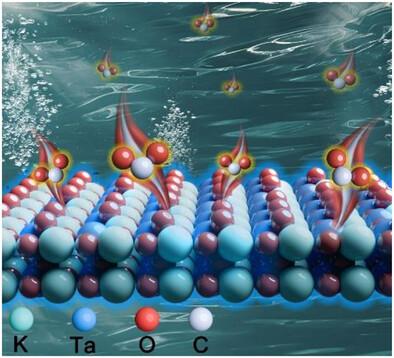CO2-Driven Polarity Compensation Mechanism for Stabilizing High-Index Facets in KTaO3