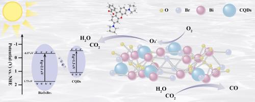Defective CQDs modified Bi4O5Br2 to construct S-scheme heterostructure for efficient photocatalytic CO2 reduction and pollutant degradation