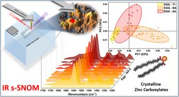 Nanoscale morphological and spectroscopic mapping of zinc carboxylate formation in oil and tempera paintings