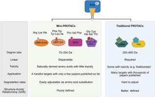 Mighty mini-PROTACs: an emerging class of degraders