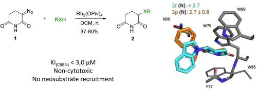 EXTENDING THE CHEMICAL SPACE OF GLUTARIMIDE-BASED CEREBLON LIGANDS THROUGH AN EFFICIENT Rh(II)-CATALYZED X-H INSERTION REACTION