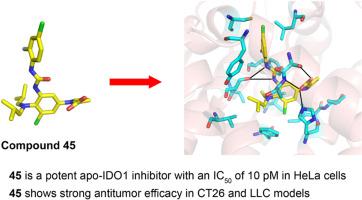 1-(3,4-Diaminophenyl)-1H-pyrrole-2-carboxylic acids as potent apo-IDO1 inhibitors exhibiting efficacy in syngeneic tumor mouse models
