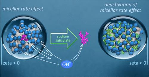 Characterization of the Surface Layer of Micelles: Advanced Investigation by Salt Incorporation