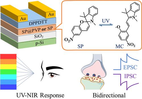 Organic Synaptic Transistors Exhibiting Interface Photoisomerizable Effect with Enhanced UV-NIR Response and Bidirectional Modulation for Neuromorphic Vision
