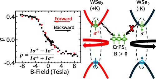 Magnetic Proximity Coupling to Defects in a Two-Dimensional Semiconductor