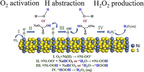 Spontaneous H2O2 Accumulation under O2 Driven by Sacrificial Oxidation of NiS2 without External Electrical/Photonic Input