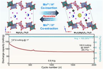 High-Performance Mn-Based Hybrid Aqueous Batteries Enabled by Interlayer-Expanded Magnesium Vanadium Bronze Cathode