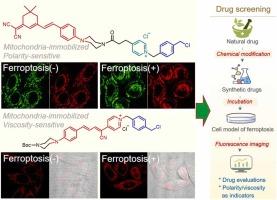 Development of mitochondria-immobilized polarity/viscosity-responsive near-infrared (NIR)-emissive fluorescent probes for the ferroptosis-associated drug screening