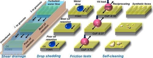 Directional oil retention and abrasion properties of microgrooved self-cleaning slippery surfaces for sanitation applications