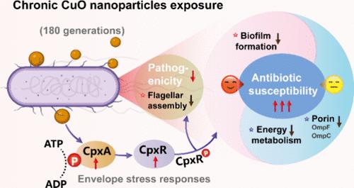 Chronic CuO Nanoparticles Exposure Enhances Bacterial Antibiotic Sensitivity and Attenuates Bacterial Pathogenicity