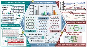 Shear-activated phase transformations of diborides via machine-learning potential molecular dynamics