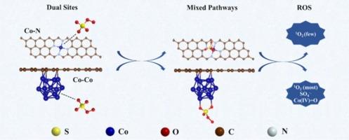 Engineering active Co-Co/Co-N sites in carbon nanotube catalyst for efficient Fenton-like removal of sulfamethoxazole