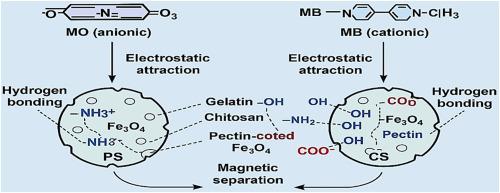 Magnetically retrievable 3D biopolymer sponges for enhanced removal and recycling of organic dyes