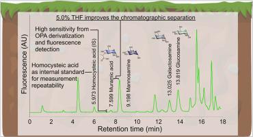 Modified fast UHPLC method for quantification of soil amino sugars – improved sensitivity compared to the GC method