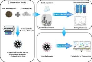 Calcium modification in food waste digestate derived granular biochar: unveiling synergistic mechanisms for phosphorus recovery