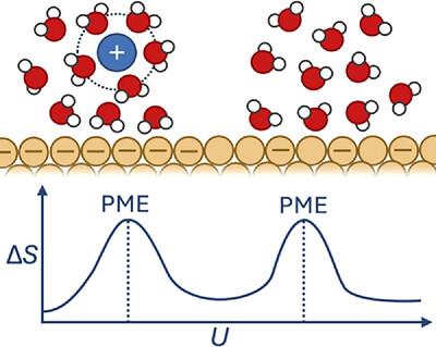 Determining the Potential of Maximum Entropy from Ab Initio Molecular Dynamics