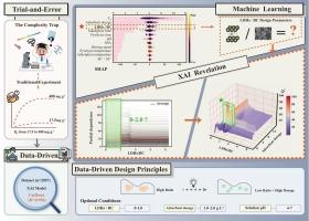 What governs phosphorus adsorption on biochar-supported layered double hydroxides? A data-driven analysis of parameter interactions