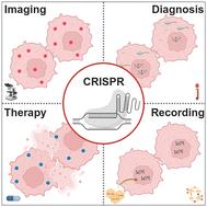 In vivo CRISPR biosensing