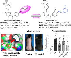 Identification of a novel compound containing benzyloxy terminal structure as a selective TYK2 inhibitor for the treatment of inflammatory diseases