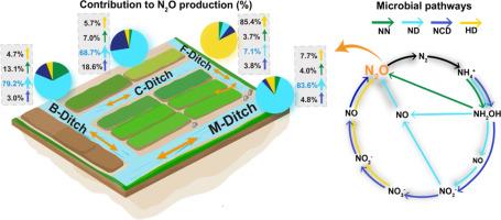 Revealing microbial pathways of N2O production in agricultural ditches