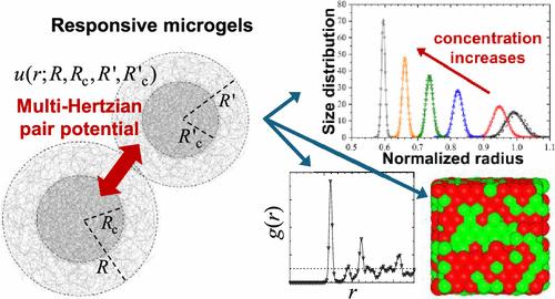 Capturing Structure and Morphology in Responsive Microgels: From Intrinsic Free Energy to Collective Behavior