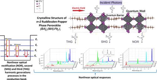 Electric Field-Enhanced Nonlinear Optical Responses in n = 2 Ruddlesden–Popper Phase Perovskites