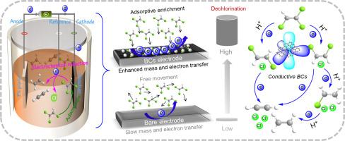 Metal-free electrocatalytic dechlorination of chlorinated ethenes using bifunctional biochar cathode: adsorption-coupled electrocatalytic reduction mechanism
