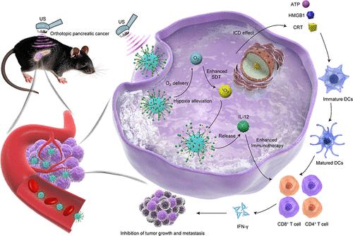 Oxygen-Delivering Semiconducting Polymer Nanocytokines for Sono-Induced Combination Immunotherapy of Orthotopic Pancreatic Cancer