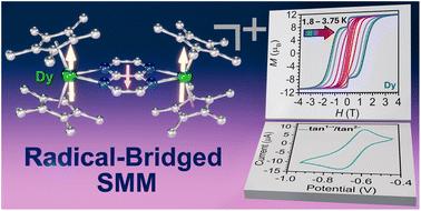A tetraazanaphthalene radical-bridged dysprosium single-molecule magnet with a large coercive field