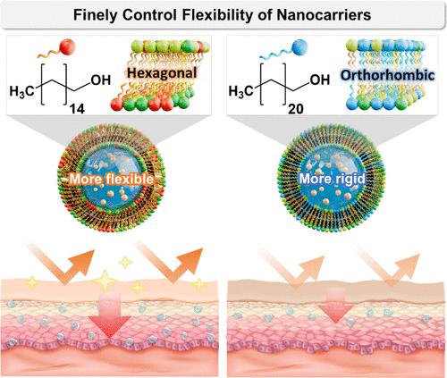 Enhancing Skin Delivery of Liposomes via Flexibility Optimization with Fatty Alcohol Incorporation for Skin Barrier Reinforcement and Brightening