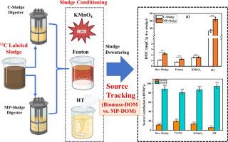 Source-specific quantification of microplastic-derived dissolved organic matter in sludge liquor using δ¹³C-labeled sludge and isotopic fingerprinting under varying conditioning treatments