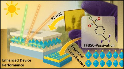 Functional Additive Incorporation Enhances the Performance of Semi-Transparent Perovskite Solar Cells