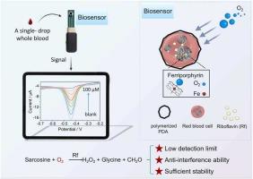 Biomimetic self-oxygen-carrying electrochemical biosensor for highly sensitive detection of sarcosine in a single drop of whole blood